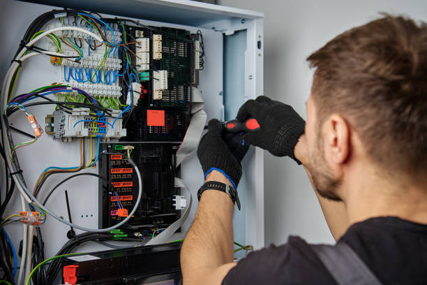 Licensed Electrical Panel Upgrade service in Salina, UT - No Joke electrician